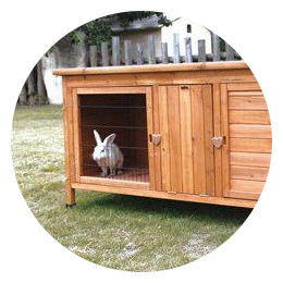 jyrsijöiden aktivointi ryhmään