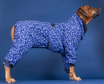 Paikka Toppahaalari, sininen - Haalarit - 6430076468161 - 2