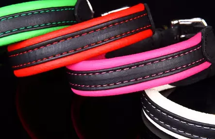 Zooleszcz Pehmeä nahkapanta - Nahkapannat - 5906365556884 - 2