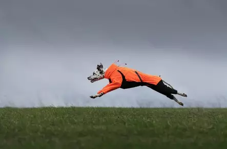 Non-Stop Fjord overall sadehaalari - Haalarit - 7071652029667 - 2