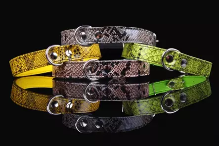 Nahkapanta käärmekuviolla - Nahkapannat - 5906365551568 - 1